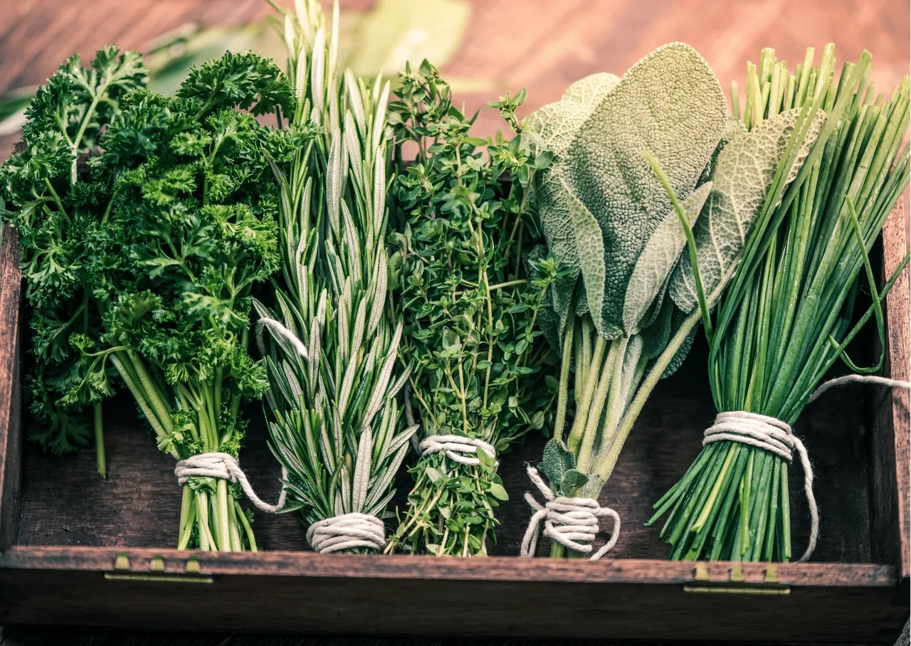 Fresh Coriander Chutney
