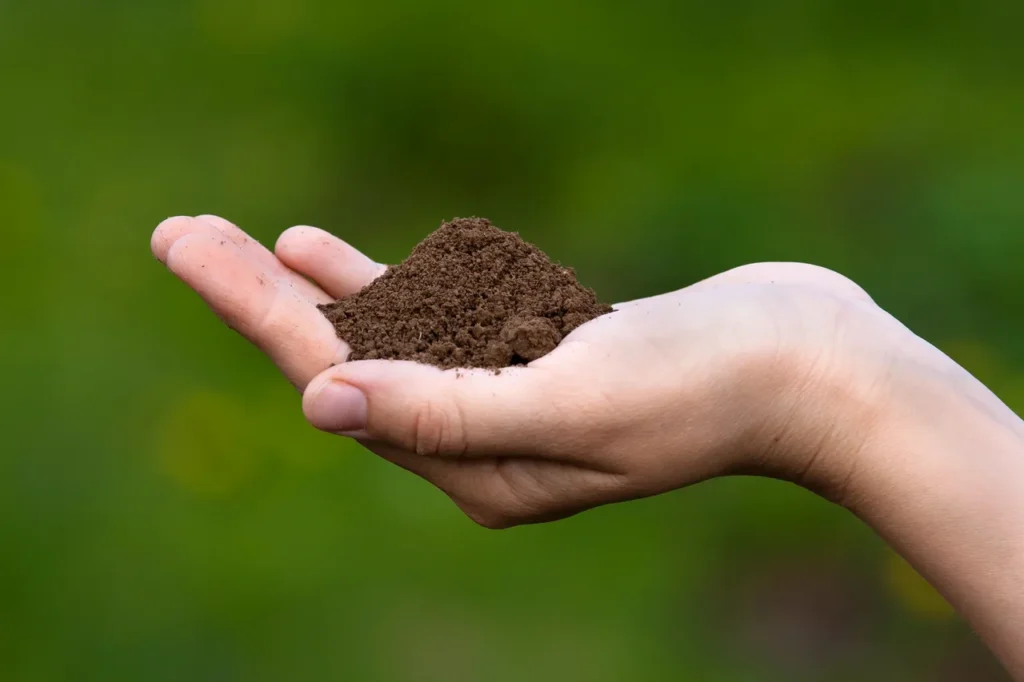 How to Assess your Fertility the Ayurvedic Way