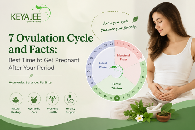 7 Ovulation Cycle and Facts: Best Time to Get Pregnant After Your Period